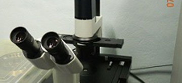 Phase Contrast Microscope