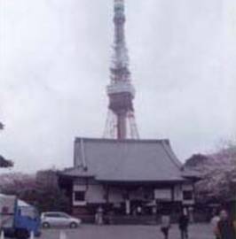 A view of Tokyo tower